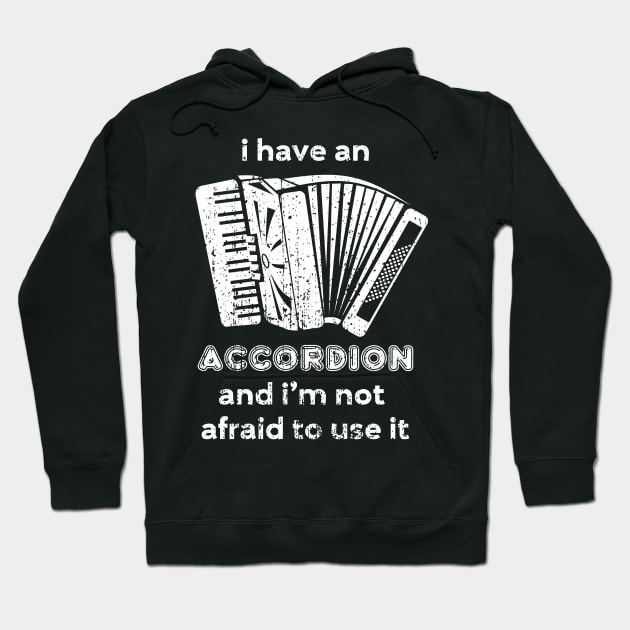 I have an accordion and I'm not afraid to use it Hoodie by evisionarts